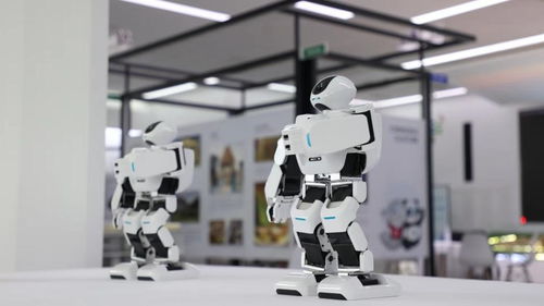 科技賦能大運(yùn)，智慧點(diǎn)亮蓉城——成都市民搶先體驗(yàn)大運(yùn)科技產(chǎn)品與服務(wù)